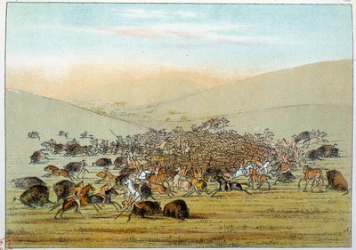 Indiáni Ameriky: Indičtí miniatarees lovící buvoly s oštěpy. Ilustrace George Catlin (1794-1872) od George Catlin
