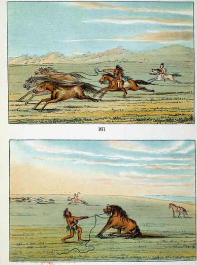 Indiáni Ameriky: jak chytit divoké koně. Ilustrace George Catlin (1794-1872) od George Catlin