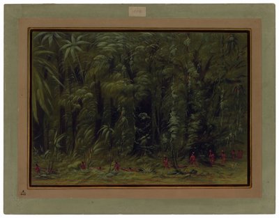 Interiér amazonského pralesa - Zurumati od George Catlin