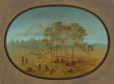 Kiowa Indians Gathering Wild Grapes, 18611869. od George Catlin