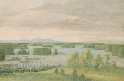 Lac du Cygne (Labutí jezero), poblíž Coteau des Prairies od George Catlin
