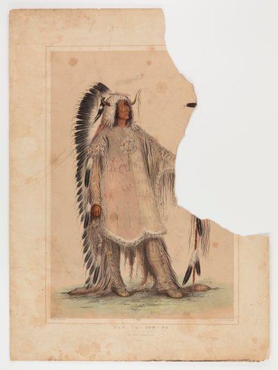 Mah-to-toh-pa, náčelník Mandanů od George Catlin