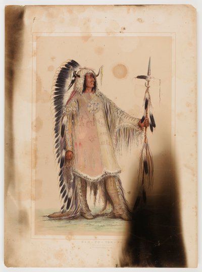 Mah-to-toh-pa, náčelník Mandanů od George Catlin