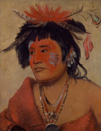 Pah-shee-náu-shaw, válečník, 1831. od George Catlin