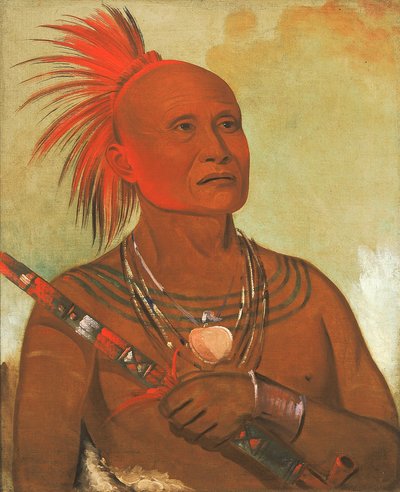 Pam-a-hó, Plavec, jeden z bojovníků Černého jestřába od George Catlin