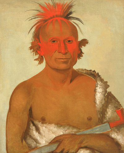 Pash-ee-pa-hó, Malý bodavý náčelník, mladší, jeden ze statečných Black Hawk