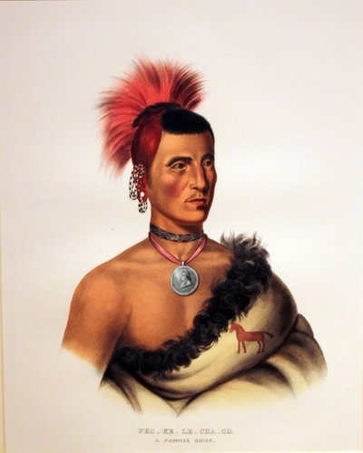 Pawnee Chief Paes K Lech od George Catlin