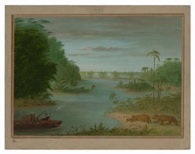 Pont de Palmiers a střelba na tygry od George Catlin