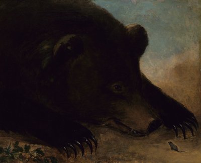 Portréty medvěda grizzlyho a myši v životní velikosti, 1846-1848. od George Catlin