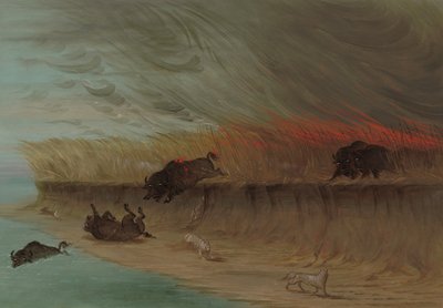 Prairie Meadows Burning, 18611869. od George Catlin