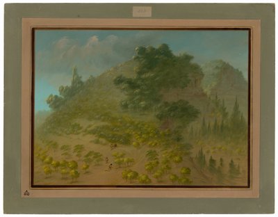 Hora Rododendron od George Catlin