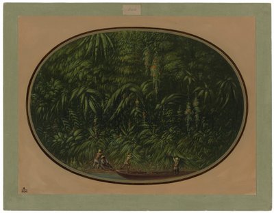 Pobřeží Trombetas od George Catlin