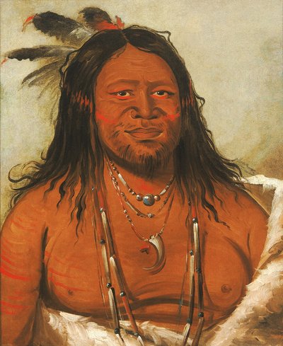 Ta-wáh-que-nah, Skalní hora, druhý náčelník kmene od George Catlin