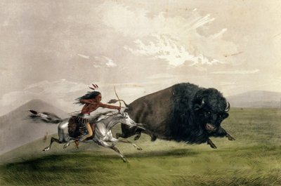The Buffalo Chase "Singling Out", hospoda. od Curriera a Ivese od George Catlin