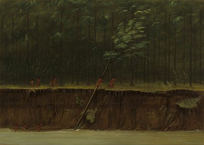 Pohled na Dolní Mississippi, 18611869. od George Catlin