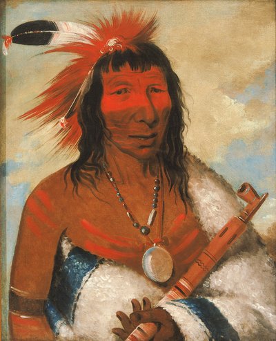 Wá-nah-de-túnk-ah, Velký orel (nebo Černý pes), náčelník kmene O-hah-kas-ka-toh-y-an-te. od George Catlin