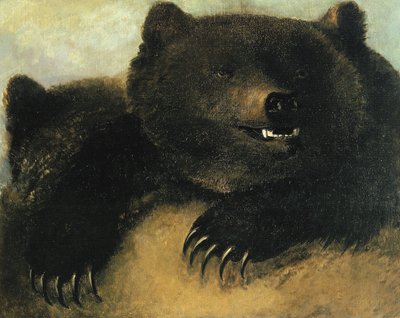 Zbraně a fyziognomie medvěda grizzlyho od George Catlin
