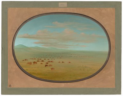 Divoký dobytek pasoucí se na Pampa del Sacramento od George Catlin