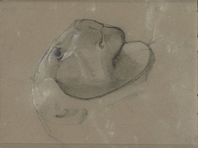 Lví hlava, pravděpodobně po soše od George Clausen