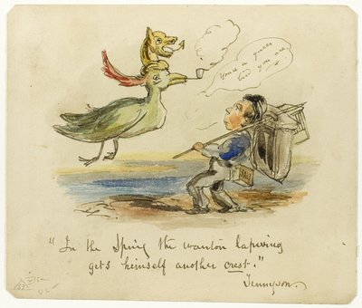 Na jaře si čejka chocholatá pořídí další erb. od George Cruikshank