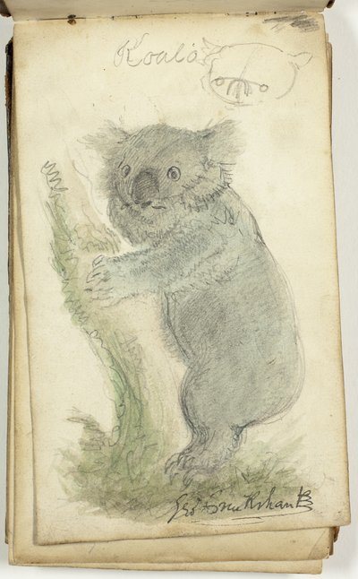 Skicář od George Cruikshank