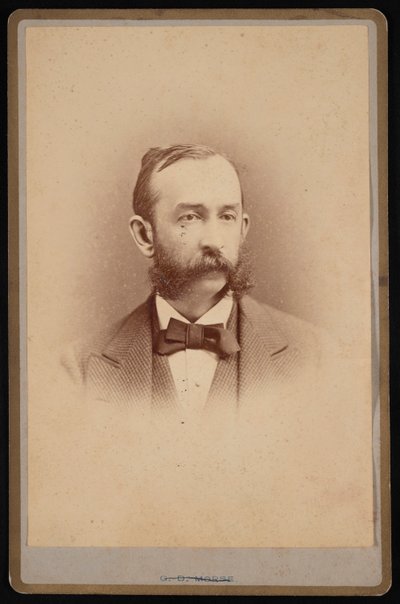 Portrét Daniela Coita Gilmana 1831-1908, cca 1875. od George Daniels Morse
