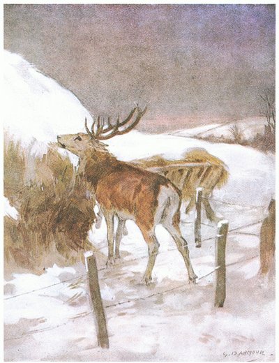 Brzy zjistil, kde se chová krmivo pro býky (barva litho) od George Denholm Armour