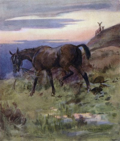 Ilustrace k Příběhu jelena (barva lito) od George Denholm Armour