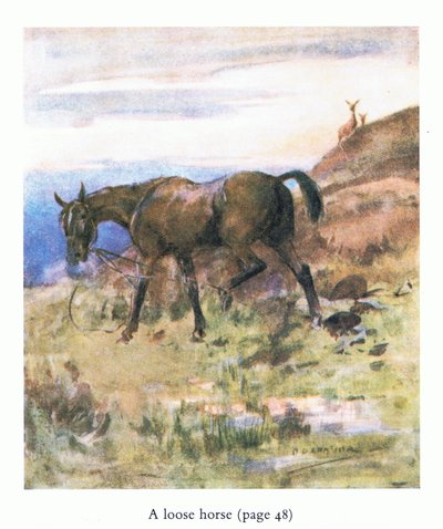 Volný kůň (barva litho) od George Denholm Armour