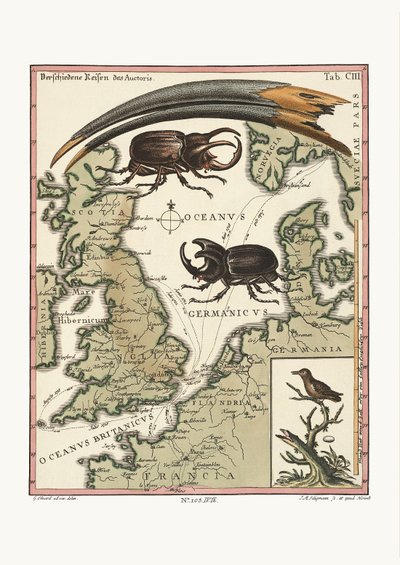 Účet ibise egyptského a kolibříka nejmenšího, 1749-73 od George Edwards