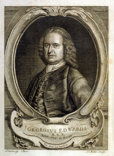  od George Edwards