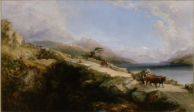 Poblíž Arona, jezero Maggiore od George Edwards Hering