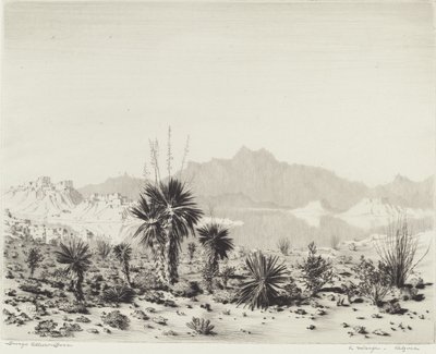 Mirage, Arizona od George Elbert Burr