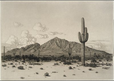 Hora Camelback, Phoenix od George Elbert Burr