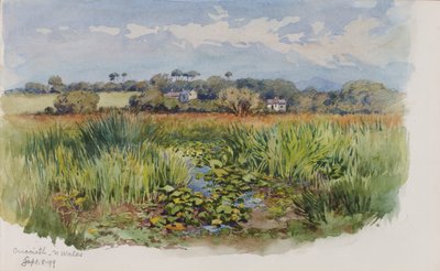 Criccieth, severní Wales od George Elbert Burr