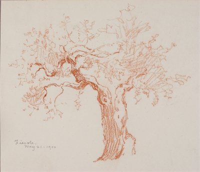Fiesole od George Elbert Burr