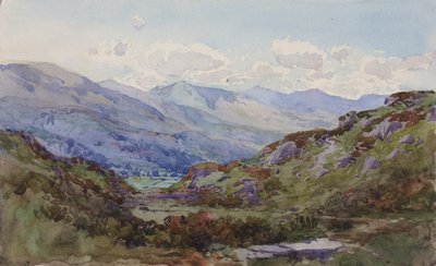 Z výšky Pont-y-Pant od George Elbert Burr