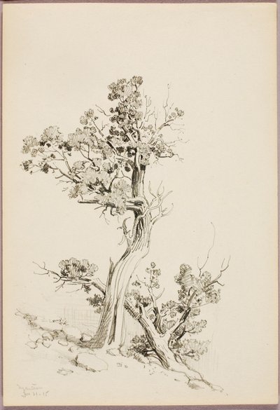 Manitou od George Elbert Burr