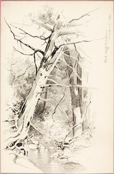 Oak Cliff, Dallas od George Elbert Burr