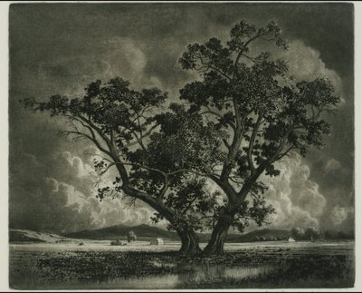 Old Cottonwoods, Colorado od George Elbert Burr