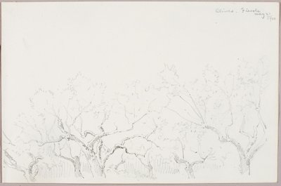 Olivy - Fiesole od George Elbert Burr