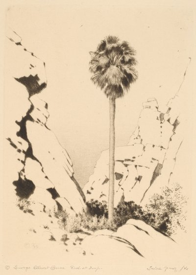 Palm Canyon (č. 1) od George Elbert Burr