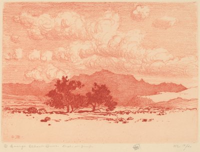 Stromy Palo Verde od George Elbert Burr