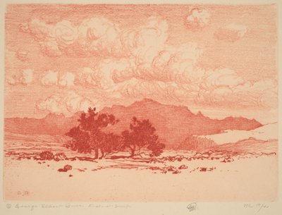 Stromy palo verde od George Elbert Burr