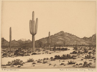Cesta do Paradise Valley, Arizona od George Elbert Burr