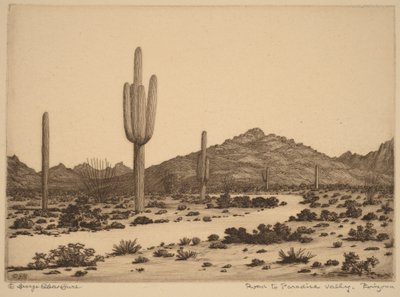 Cesta do Paradise Valley v Arizoně od George Elbert Burr