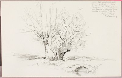 Roche Vaud od George Elbert Burr