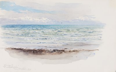 Shore at Pwllheli, N. Wales, 1899. od George Elbert Burr