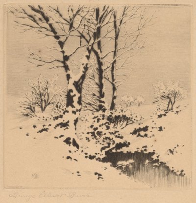 Sníh od George Elbert Burr