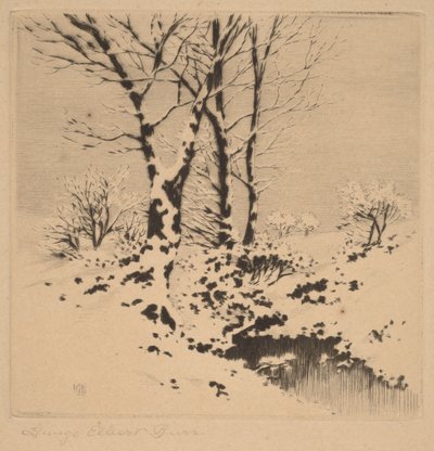 Sníh od George Elbert Burr